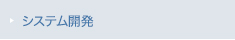 システム開発